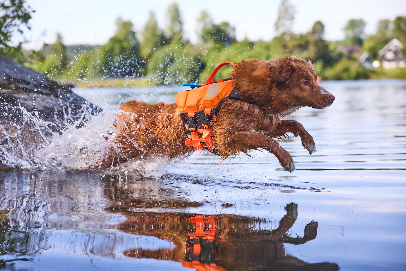 Gear Up for Every Adventure